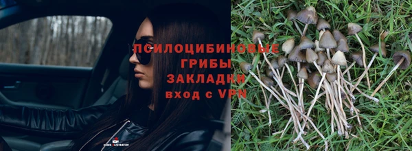 не бодяженный Рославль