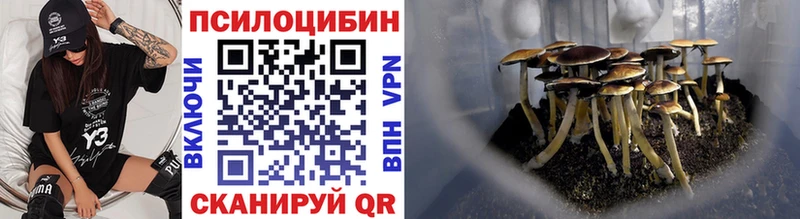 Псилоцибиновые грибы Psilocybe Брюховецкая